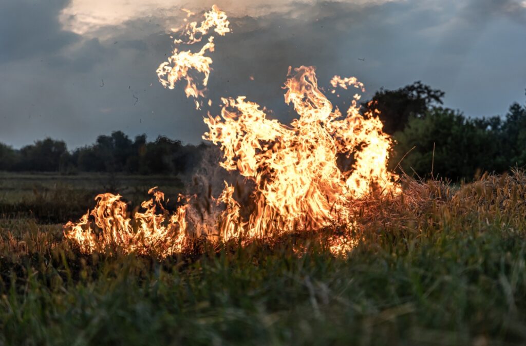 Pożar w Biebrzańskim Parku Narodowym: płonie 15 hektarów łąk