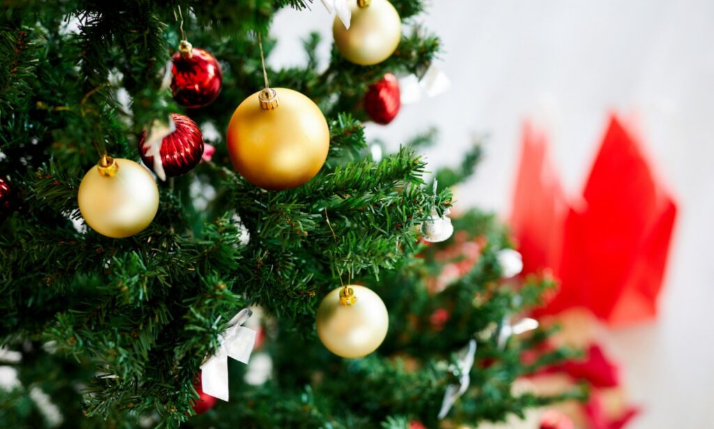 400 świątecznych drzewek przekazanych dla tych, którzy niosą wsparcie na rzecz bezdomnych zwierząt w Suwałkach